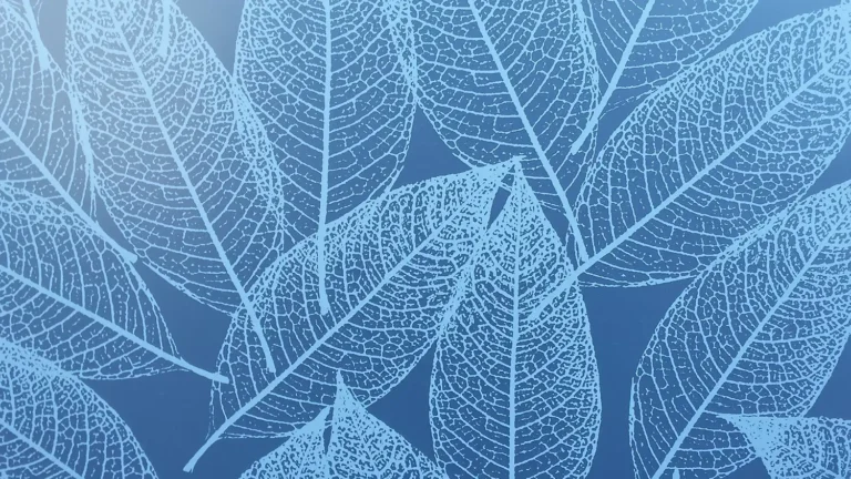 decorative window film