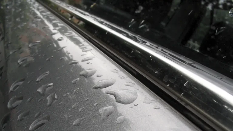 paint protection for cars